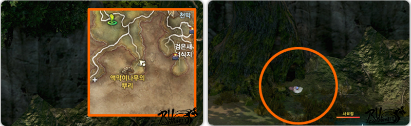 Blade And Soul   -  6